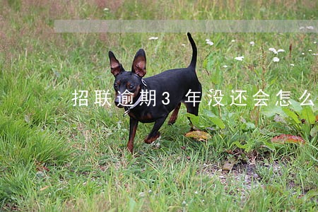 招联逾期3年没还会怎么处理 招联逾期3年没还会怎么处理
