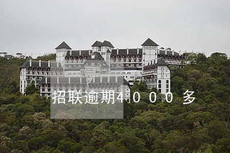 招联逾期4000多 招联逾期4000多