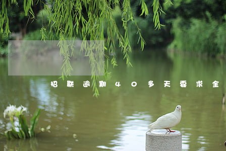 招联逾期40多天要求全部归还