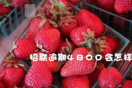 招联逾期4800会怎样 招联逾期4800会怎样