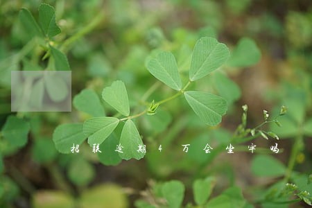 招联逾期4万会坐牢吗 招联逾期4万会坐牢吗