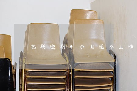 招联逾期4个月还不上咋办 招联逾期4个月还不上咋办