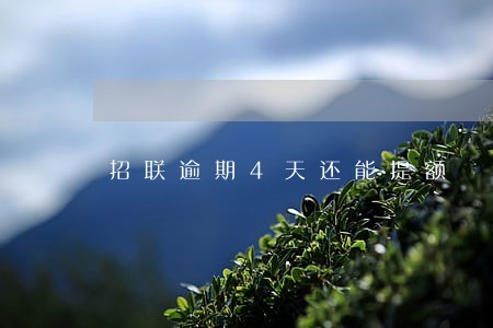 招联逾期4天还能提额 招联逾期4天还能提额