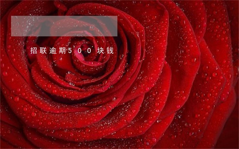 招联逾期500块钱