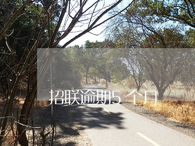 招联逾期5个月 招联逾期5个月
