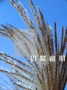招联逾期5天会怎样 招联逾期5天会怎样