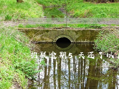 招联逾期5天还了以后还能借吗 招联逾期5天还了以后还能借吗