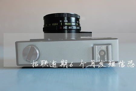 招联逾期6个月发短信恐吓 招联逾期6个月发短信恐吓