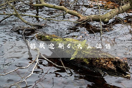 招联逾期6天上征信 招联逾期6天上征信