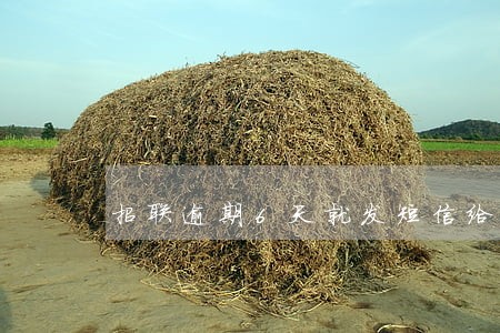 招联逾期6天就发短信给我朋友 招联逾期6天就发短信给我朋友