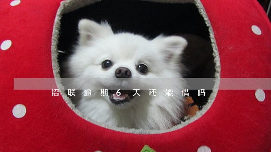 招联逾期6天还能借吗 招联逾期6天还能借吗