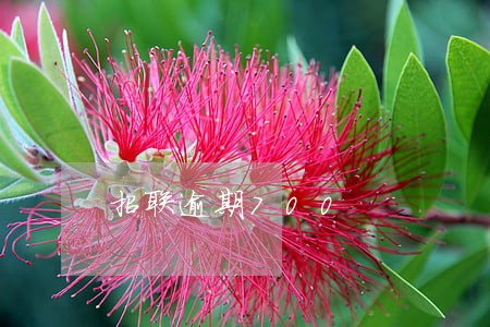 招联逾期700 招联逾期700