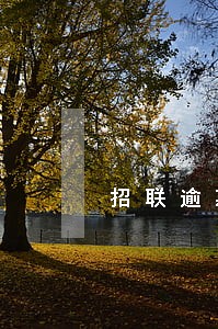 招联逾期7万多 招联逾期7万多