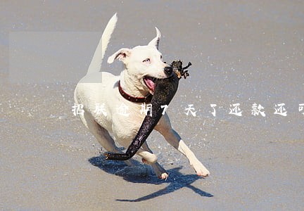 招联逾期7天了还款还可以借嘛 招联逾期7天了还款还可以借嘛
