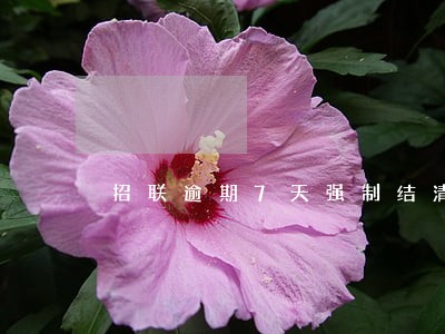 招联逾期7天强制结清 招联逾期7天强制结清