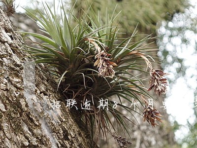 招联逾期8个月要坐牢吗 招联逾期8个月要坐牢吗