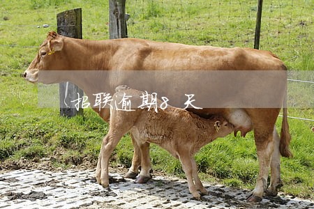 招联逾期8天 招联逾期8天