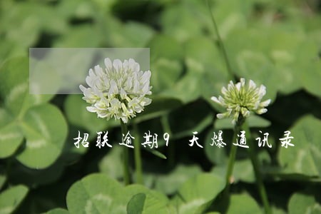 招联逾期9天爆通讯录 招联逾期9天爆通讯录