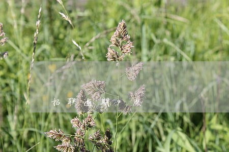 招联逾期9次 招联逾期9次
