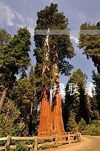 招联逾期一天会影响信用卡吗 招联逾期一天会影响信用卡吗