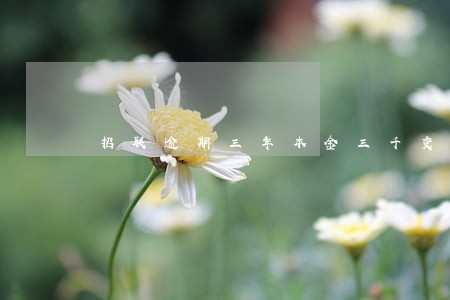 招联逾期三年本金三千变6000 招联逾期三年本金三千变6000