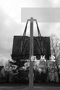 招联逾期了2天了 招联逾期了2天了