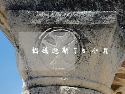 招联逾期了5个月 招联逾期了5个月