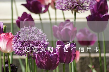招联逾期了招行信用卡