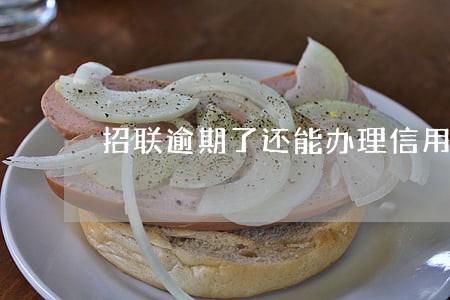 招联逾期了还能办理信用卡吗 招联逾期了还能办理信用卡吗