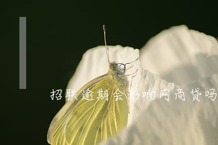 招联逾期会影响网商贷吗 招联逾期会影响网商贷吗