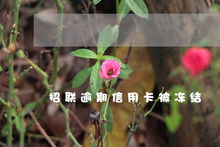 招联逾期信用卡被冻结 招联逾期信用卡被冻结