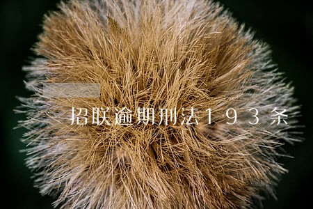 招联逾期刑法193条 招联逾期刑法193条