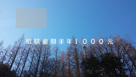 招联逾期半年1000元 招联逾期半年1000元