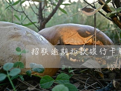 招联逾期扣款银行卡解绑 招联逾期扣款银行卡解绑