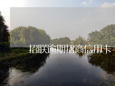 招联逾期招商信用卡