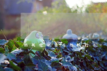 招联逾期要冻结银行卡 招联逾期要冻结银行卡