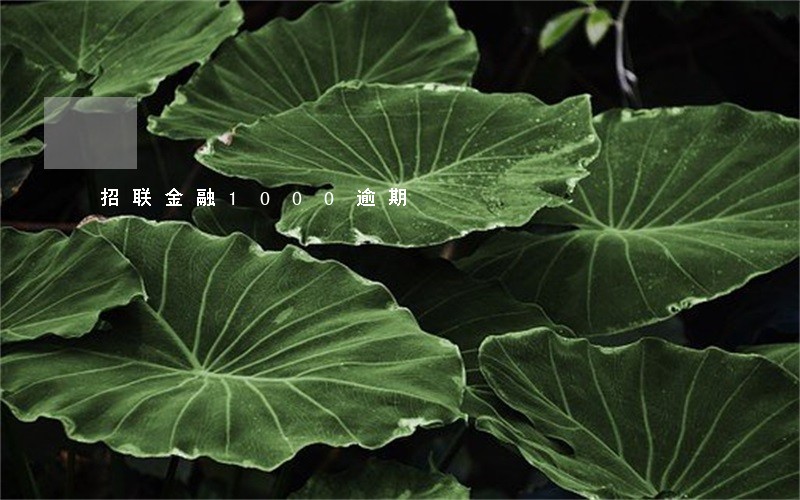 招联金融1000逾期 招联金融1000逾期
