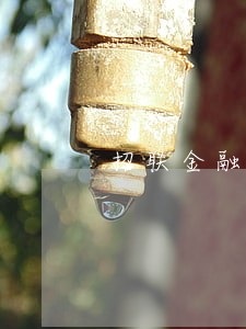 招联金融100块逾期了