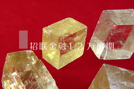 招联金融12万逾期