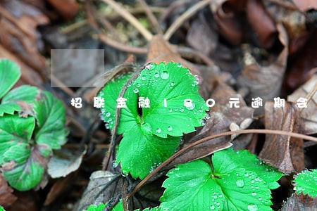 招联金融180元逾期会怎么样 招联金融180元逾期会怎么样