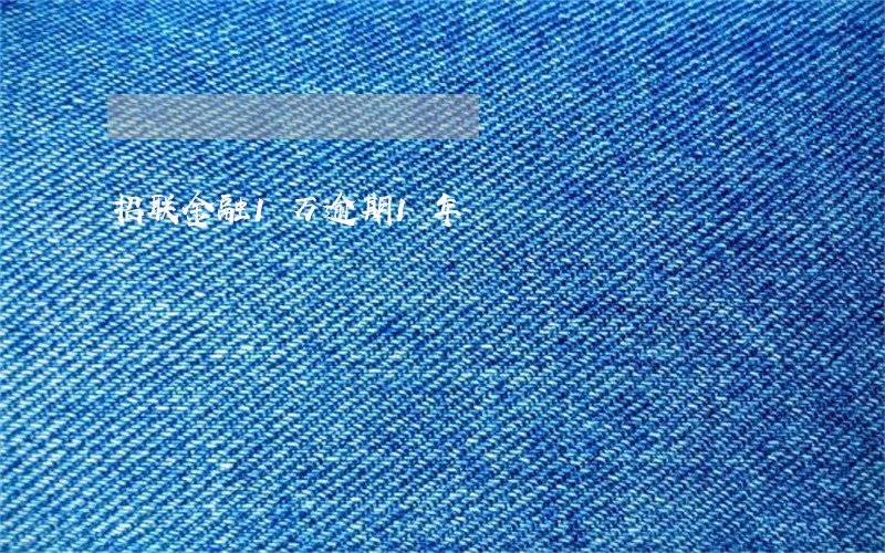 招联金融1万逾期1年