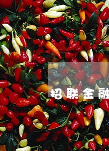 招联金融1万逾期一年可以协商吗