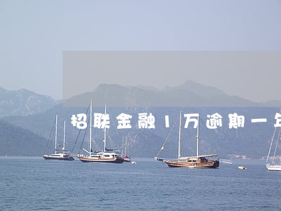 招联金融1万逾期一年有减免吗 招联金融1万逾期一年有减免吗