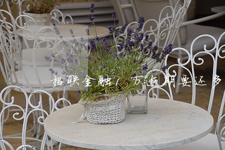 招联金融1万逾期要还多少