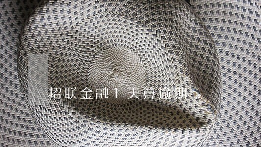 招联金融1天算逾期 招联金融1天算逾期