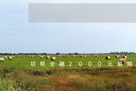 招联金融2000元逾期一年