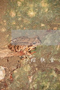 招联金融2000逾期一年 招联金融2000逾期一年