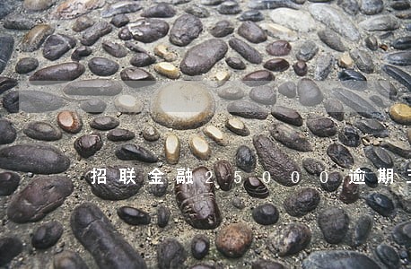 招联金融25000逾期五个月 招联金融25000逾期五个月
