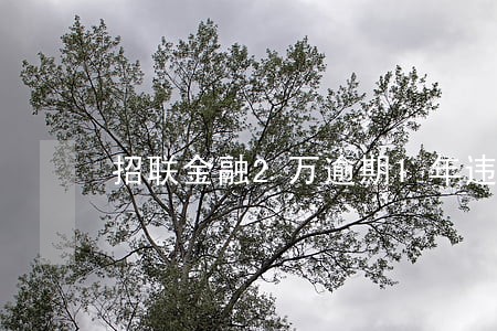 招联金融2万逾期1年违约金多少 招联金融2万逾期1年违约金多少