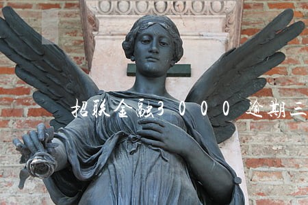 招联金融3000逾期三年 招联金融3000逾期三年